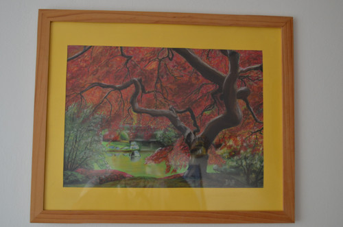 Oranžová vlna — foto 2