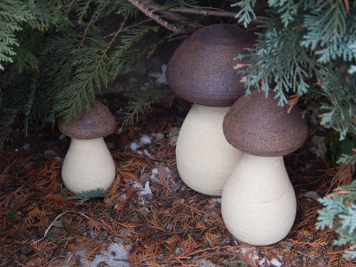 Hříbek 10 cm — foto 2