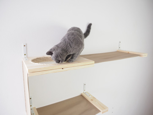 Kočičí prolézačka CATTISH SINGLE — foto 4