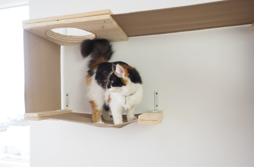 Kočičí prolézačka CATTISH SINGLE — foto 5