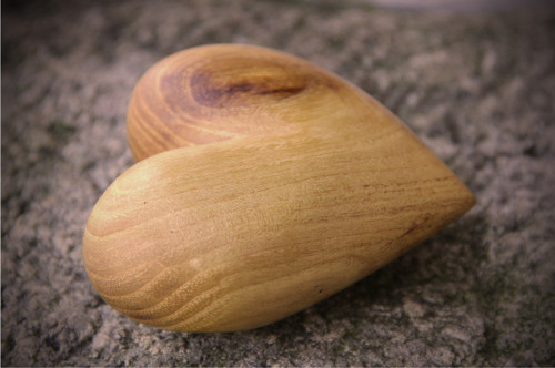 Akátové dlachňadlo — foto 2