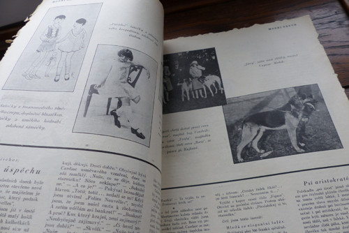 Módní revue... časopis 24/1929 — foto 3