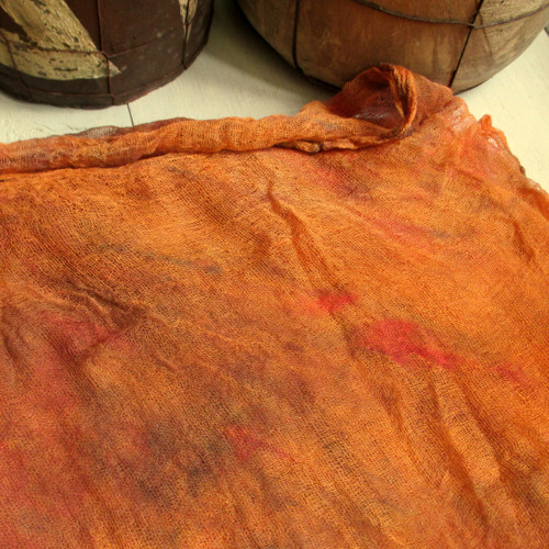 Oranžová Zemitá — foto 3