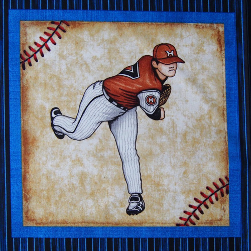 Baseball - panel — foto 6