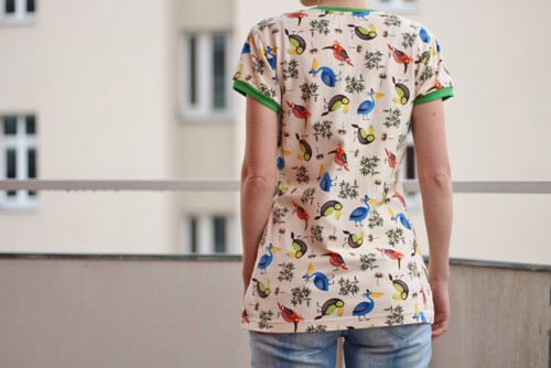Exotic birds — foto 2