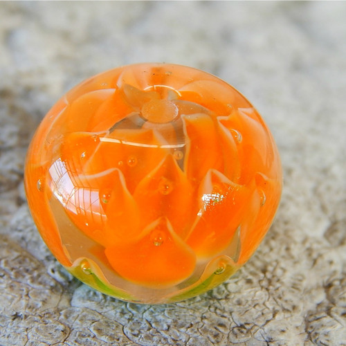 Hyacinta — foto 3