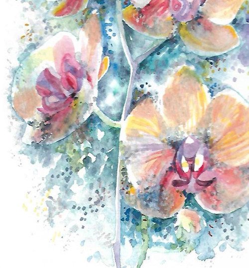 ...orchidej... — foto 2
