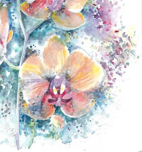 ...orchidej... — foto 4
