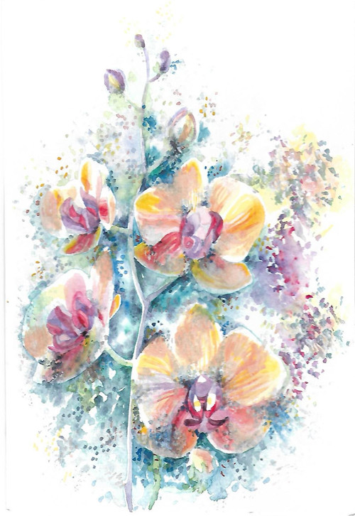 ...orchidej... — foto 6