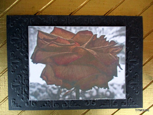 Smutná růže-kondolence — foto 2