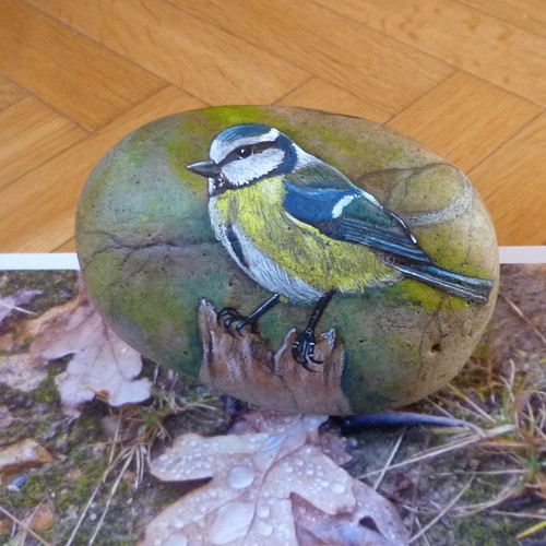 Ptačí nářečí — foto 2