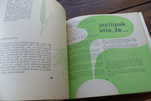 Velký táborák, M. Jenšík — foto 6
