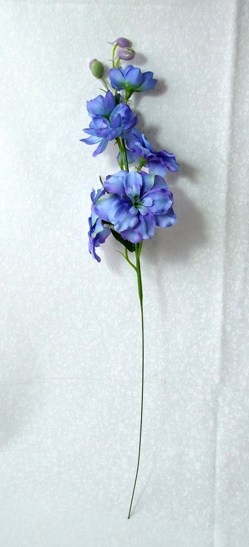 Ostrožka plnokvětá modrá 44 cm — foto 2