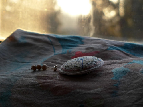 Klíčení. — foto 6