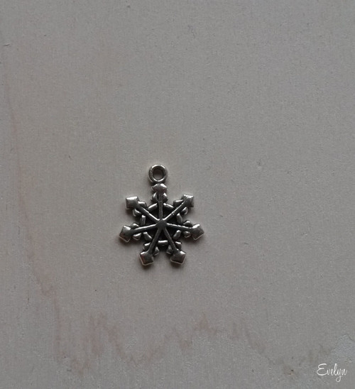 Vločka č. 13 — foto 2