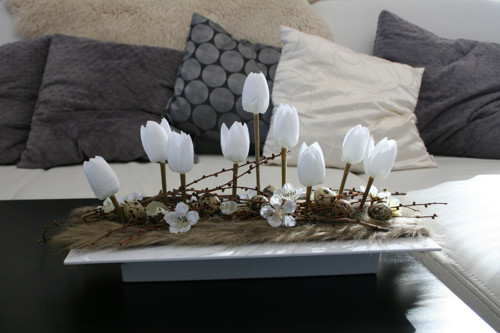 Tulipány v kožešině — foto 6