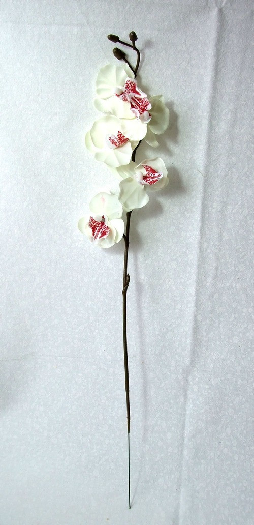 Orchidej bílo-hnědá 49 cm — foto 2
