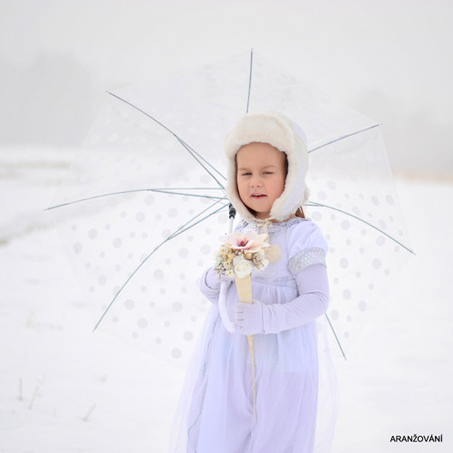 V ledové závěji — foto 5