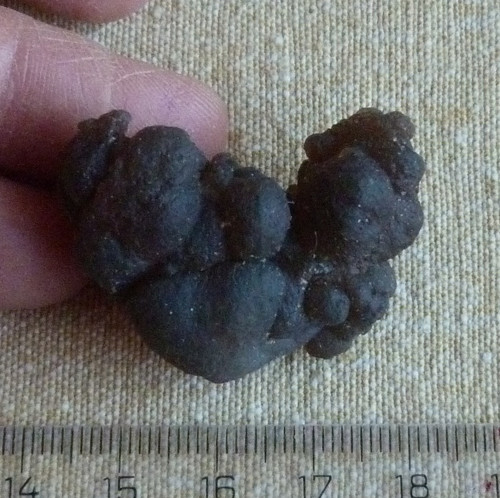 Chalcedon "fantasia" — foto 2