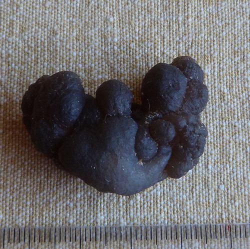 Chalcedon "fantasia" — foto 6