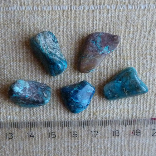 Chryzokol - 5 ks — foto 2