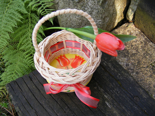 Tulipánový — foto 2