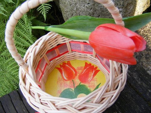 Tulipánový — foto 3