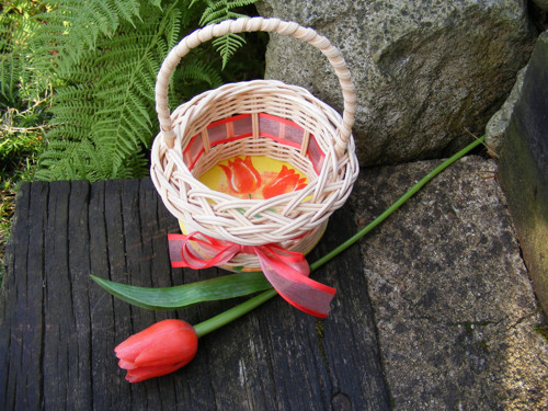 Tulipánový — foto 4