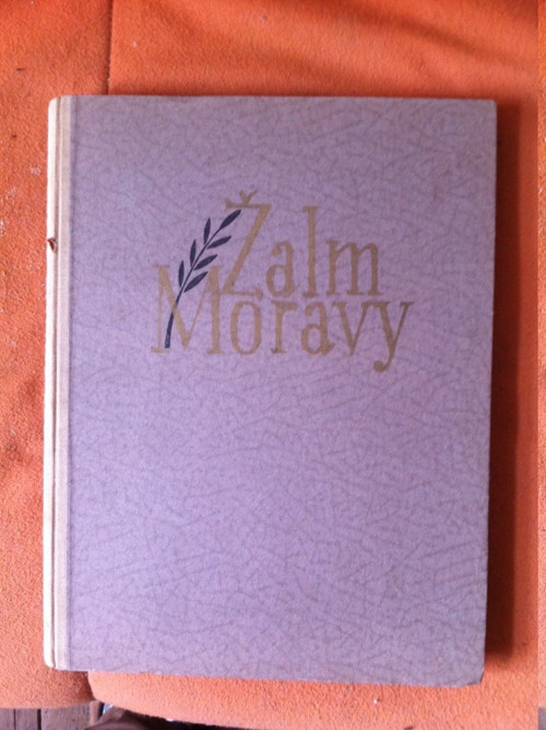 Žalm Moravy - nacistické věznice na Moravě — foto 2