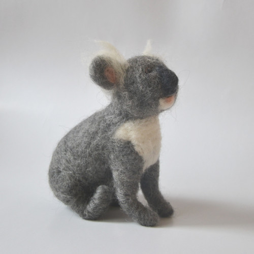 Koala — foto 2