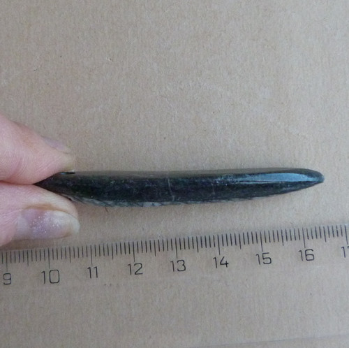Orthoceras - fosílie vrtaná — foto 4