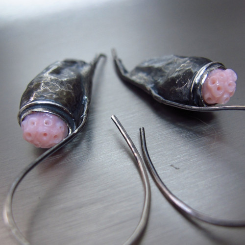 Pediculus — foto 2