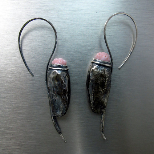 Pediculus — foto 3