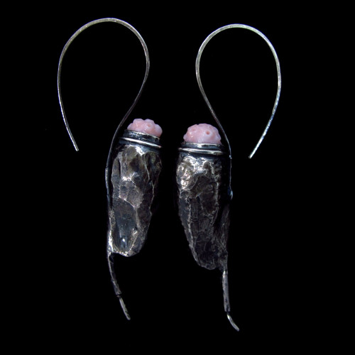 Pediculus — foto 4