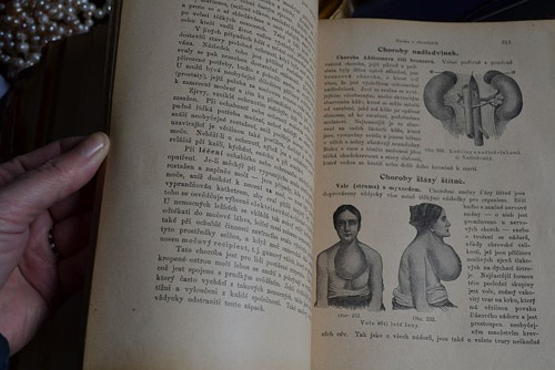 Domácí lékařka I a II sv. * — foto 4