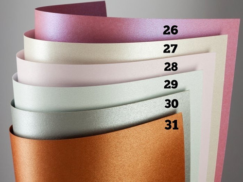 Sloník , barva dle přání ( ZVI 9) — foto 3