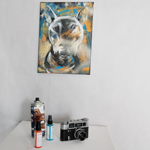 Bull na mapě....obraz — foto 6