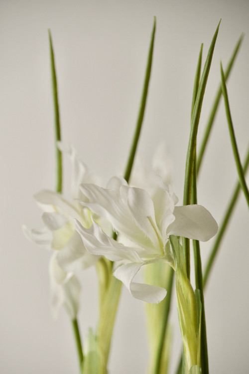 Dekorace Soft.Iris — foto 4