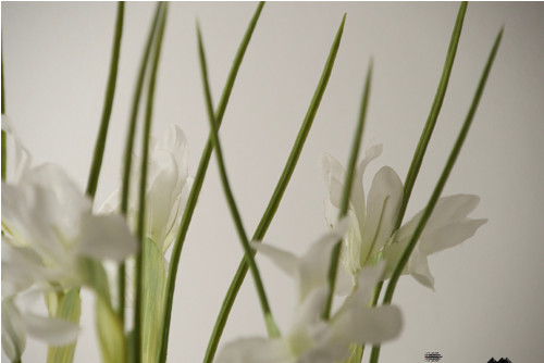 Dekorace Soft.Iris — foto 6