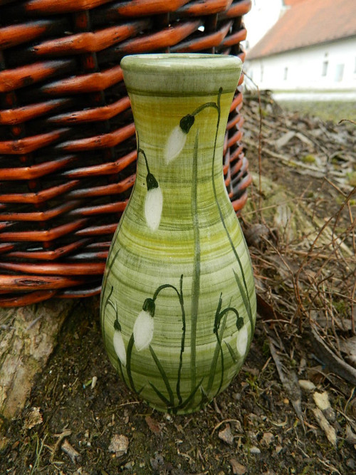 Jarní sněženková — foto 2