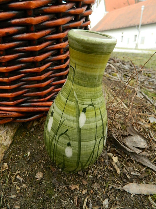 Jarní sněženková — foto 3