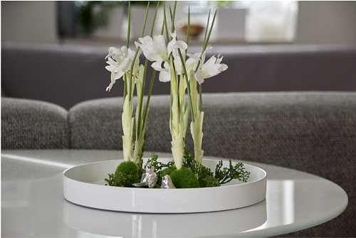 Dekorace Soft.Iris — foto 2