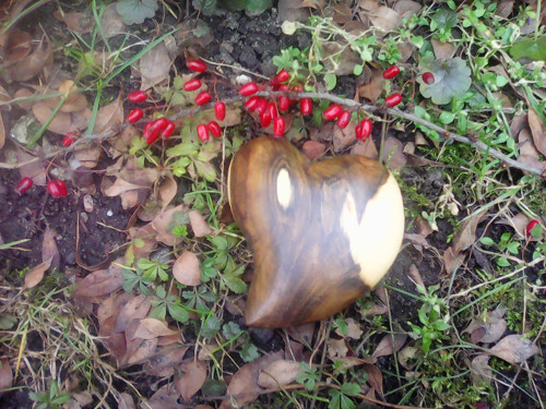 Sněženková srdíčka — foto 2