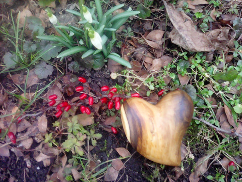 Sněženková srdíčka — foto 5