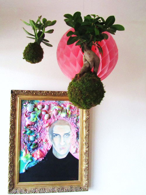 Kokedama Fíkus — foto 2