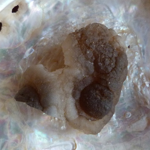 Chalcedon — foto 4