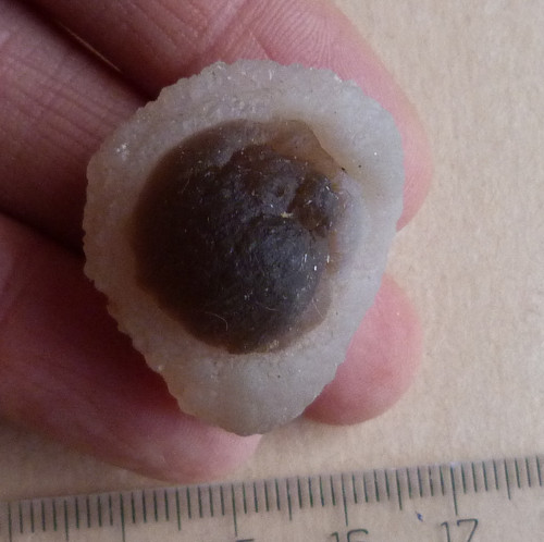 Chalcedon — foto 2