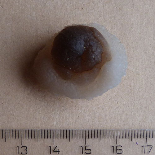 Chalcedon — foto 4