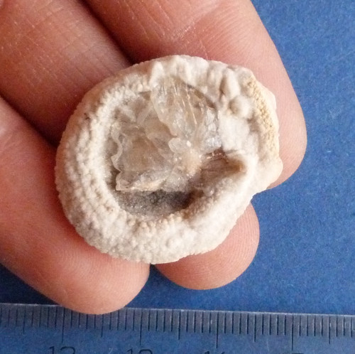 Chalcedon hadí oko — foto 2