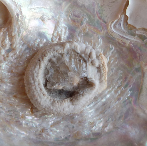 Chalcedon hadí oko — foto 4